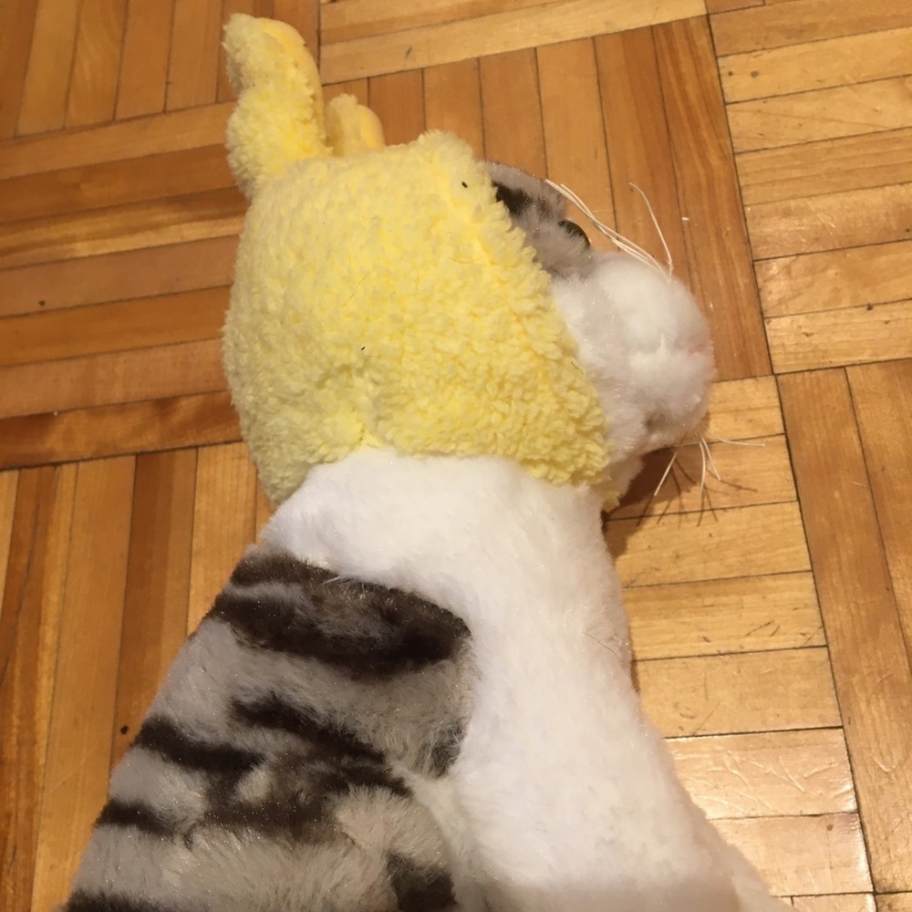 3/15$ Stuffed animals bunny​